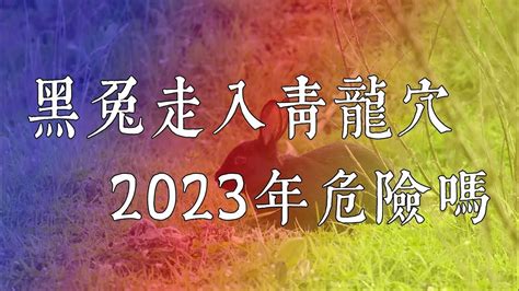 黑兔走進青龍穴|民间流传今明两年是：“黑兔走入青龙穴”，此话有什么预示？